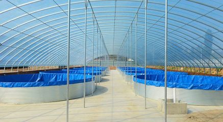 喀喇沁旗 设施化冷水养殖异军突起 推动冷水鱼产业提质升级