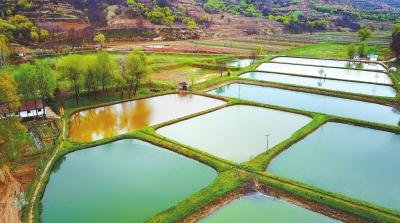 碧水金鳞 正宁县四郎河川水产养殖区的生态渔业发展之道