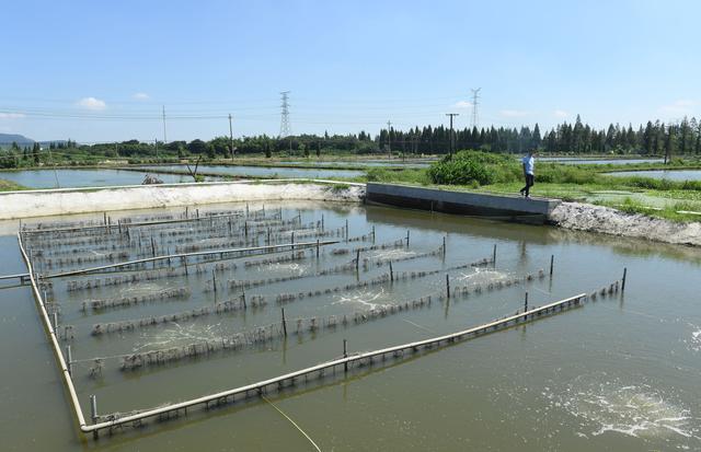 浙江湖州 化养殖尾水为碧水清波的水产品养殖之路