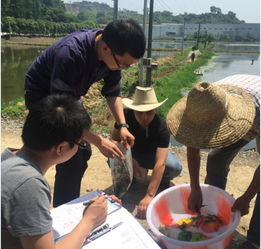 守好水产品安全防线——浙江德清县水产站开展初级水产品专项抽检工作纪实
