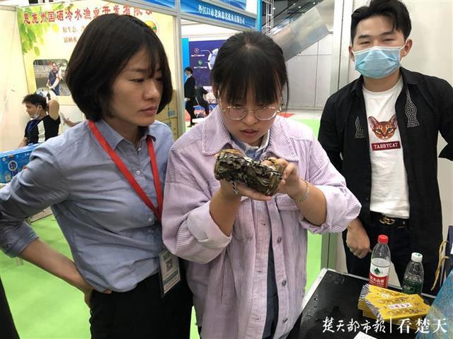 荆楚水产品开启全产业链直采模式,鱼虾养殖者直面餐饮酒楼